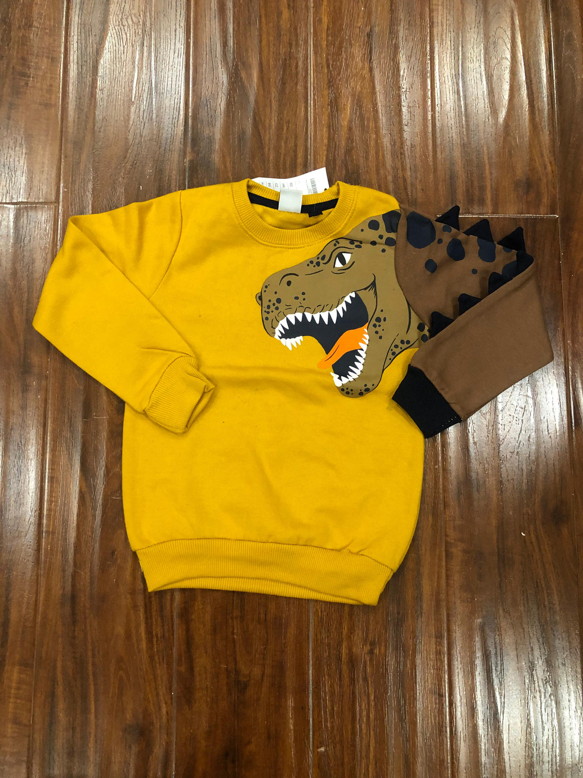 Dinosaur 3D sweatshirt