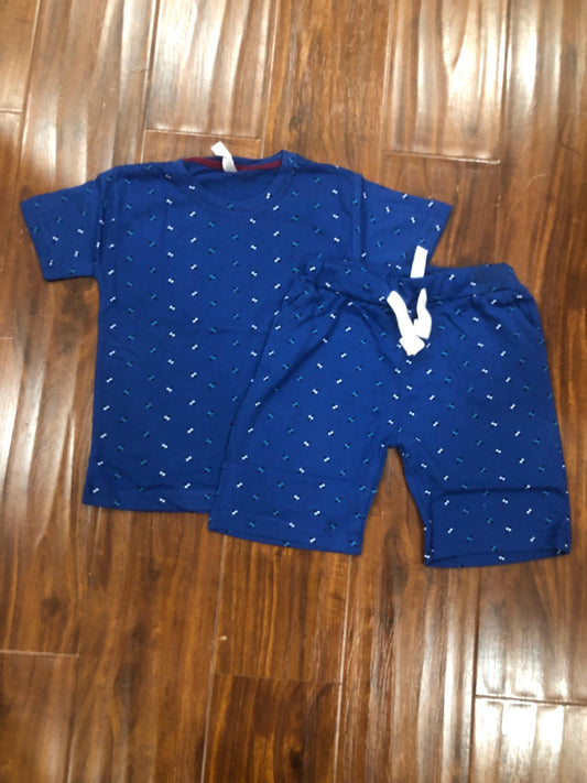 Blue printed T-shirt and shorts set for kids