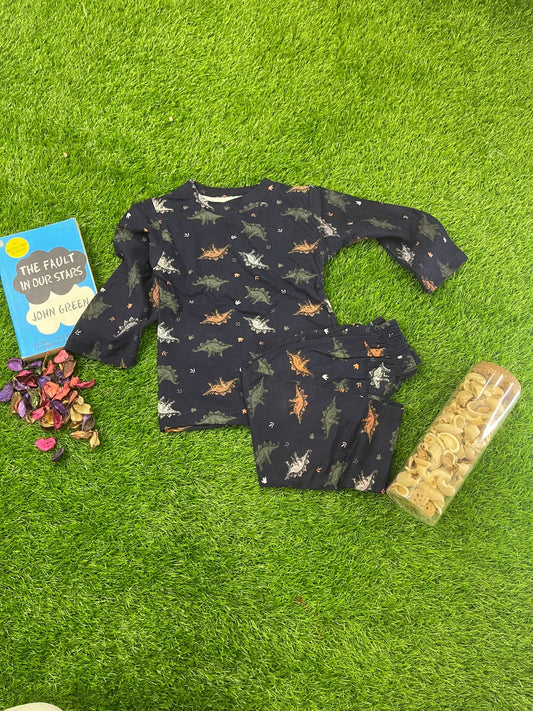Dinosaur Nightsuit