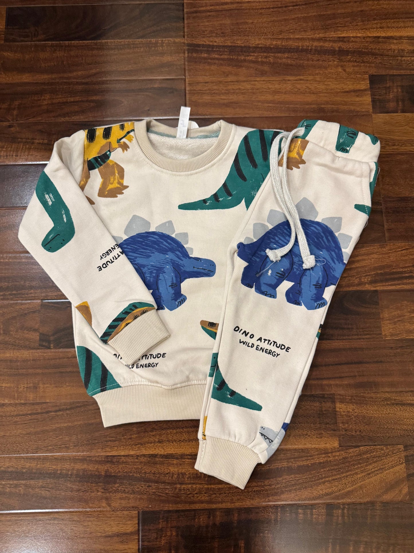 Big dinosaurs tracksuit for kids