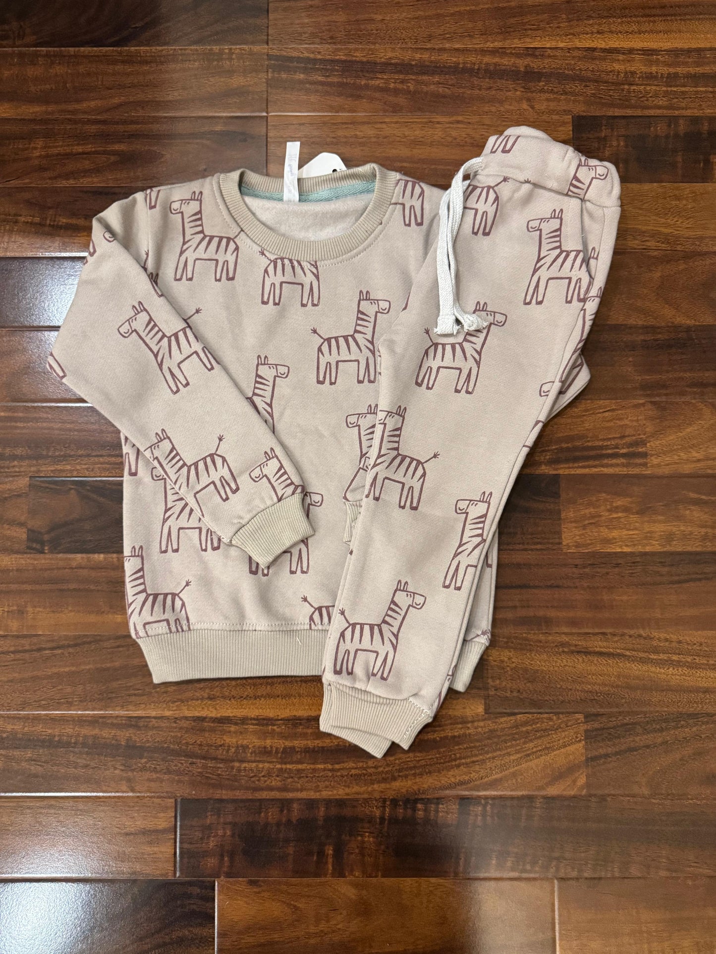 Cute zebra tracksuit for kids