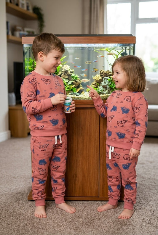 Rust Dolphins Tracksuit